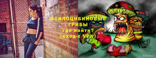 не бодяженный Гусиноозёрск