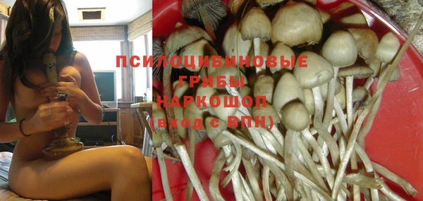 не бодяженный Гусиноозёрск