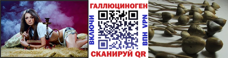 Галлюциногенные грибы ЛСД Славянск-на-Кубани